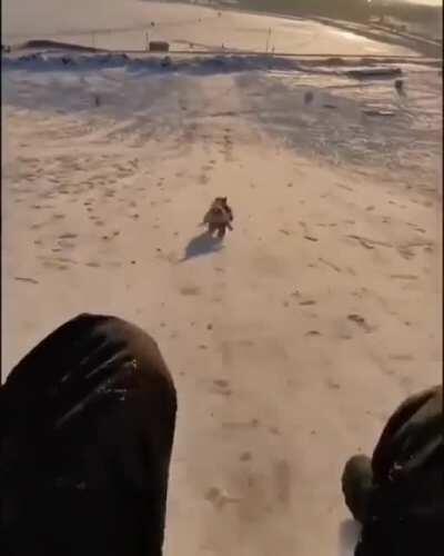 Hooman, you dissapoint. You slow. Let's do again.