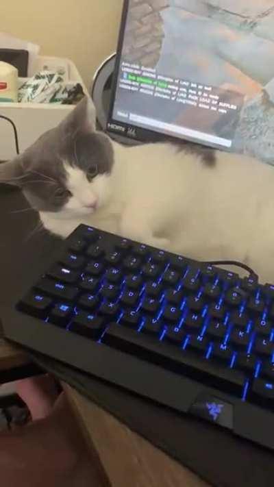 Husband thought he was actually going to video game today, cat had other ideas.