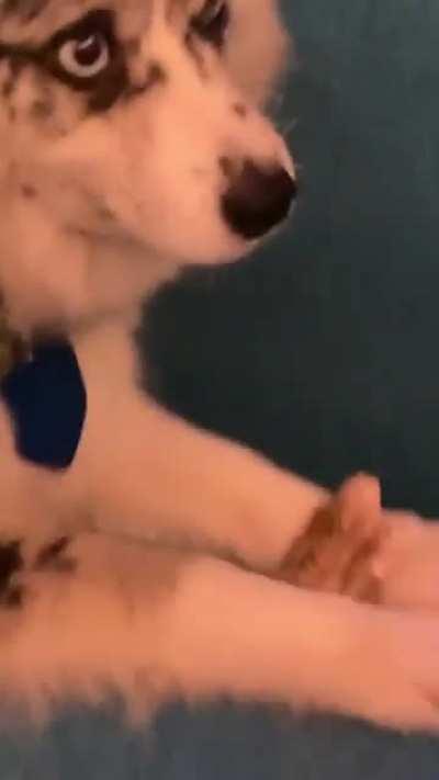 Second clip from IG story