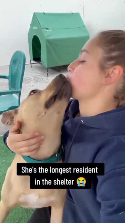 She is looking for freeeeeeeeedom! Rescued from neglect, her spirit is full of love. Out-of-state adoption is possible from Amityville NY.