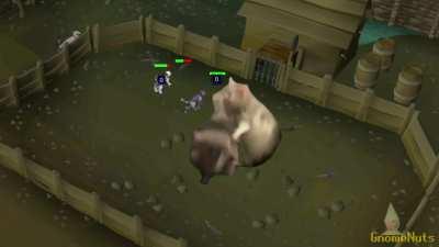 The Rat Pits after midnight