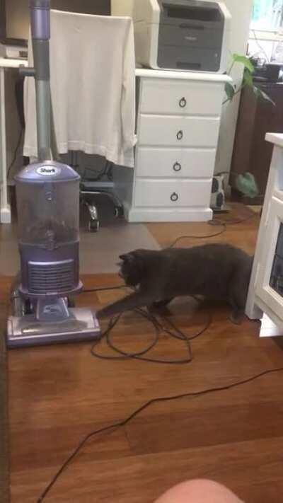Ollie gets his revenge on the scary vacuum