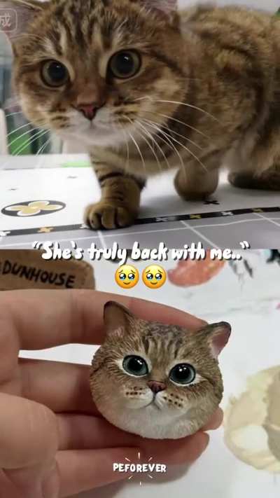 Years of years of memories u coming back...😭❤️✨