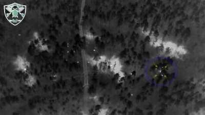 RU POV: Drone footage from the Kreminna forests showing direct artillery hits on Ukrainian soldiers. Aftermath shows a large amount of Ukrainian casualties.