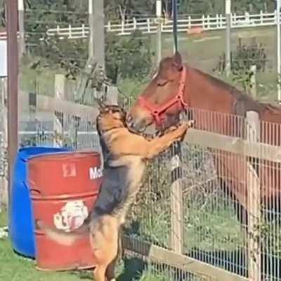 Oh hello, neighbour!
