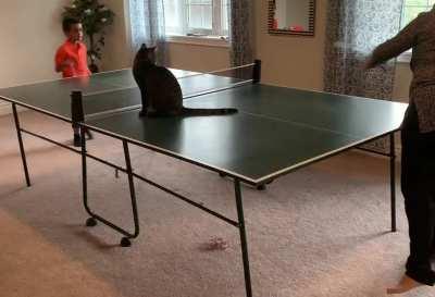 I'm sorry, were you using this? Pretend I'm not even here, carry on.