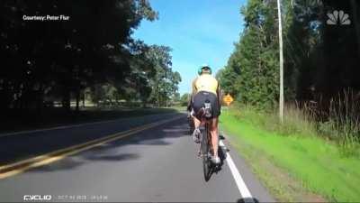 crossed the road at the wrong time