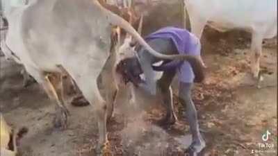 Не верь тому, кто говорит, что дикари никогда не моются.