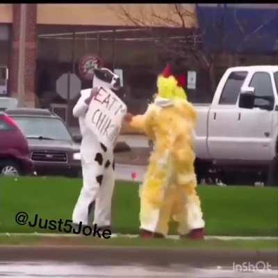 Почему наземные рабочие дерутся?