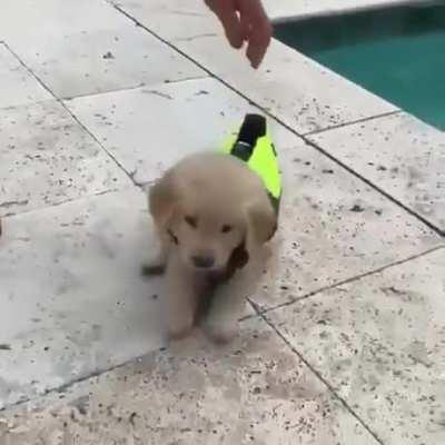 Safe, yes. But at what cost?