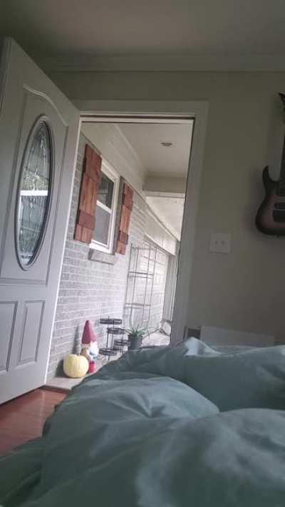 From my couch under a comfy blanket