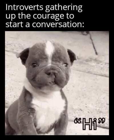 This post was made by the Ambivert gang...