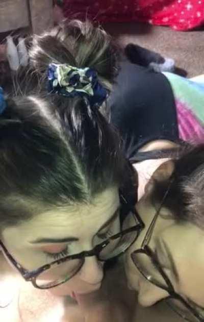 How the girls wake me up on a Monday