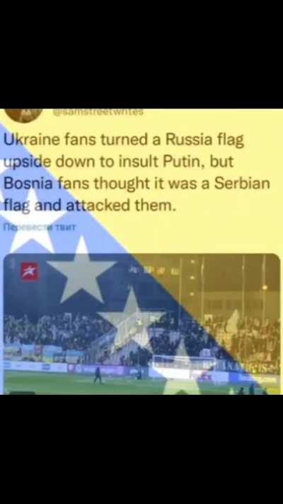 Most rational Bosnian