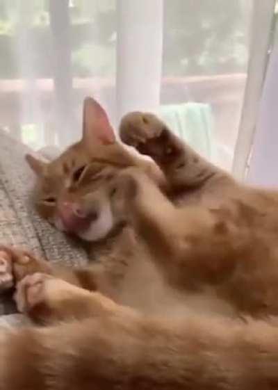 Pawwwww... STAHP IT!