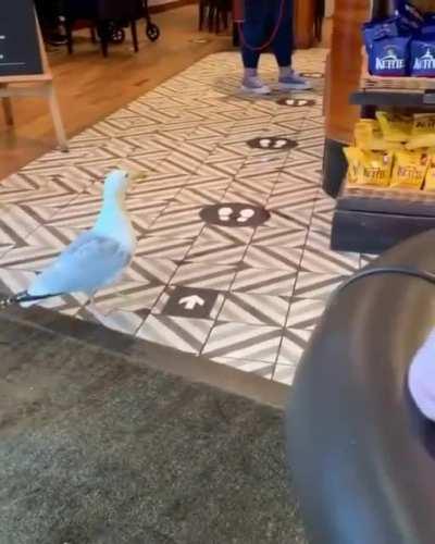 He walked in so casually