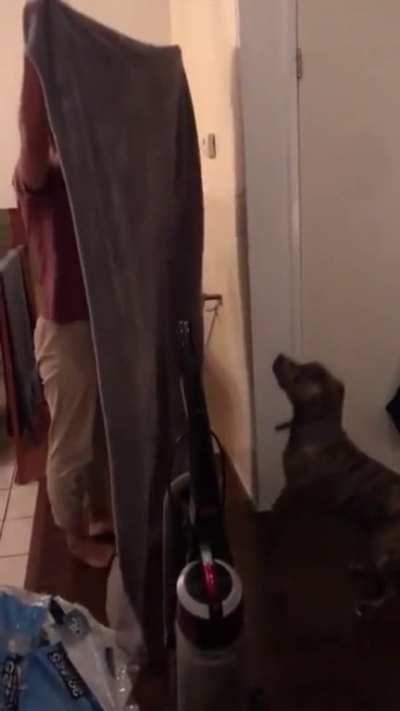 WCGW trying online trends