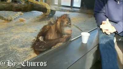 Magago bola rindo da Magia negra🤡🤡