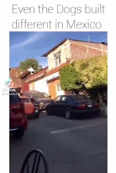 I’m Hispanic and this is a certified Mexico check