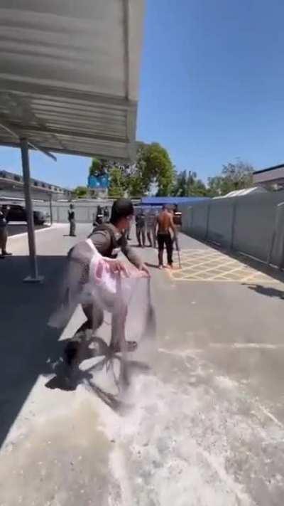 Maybe next time, bro