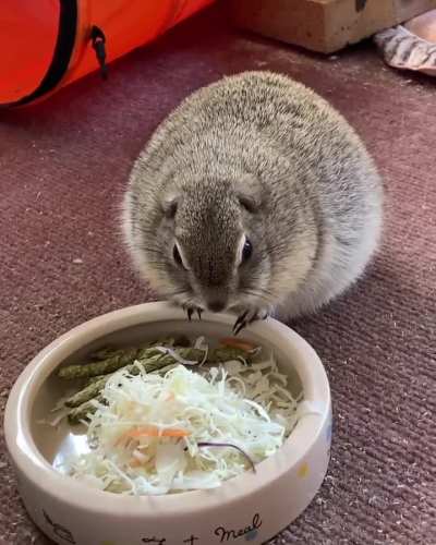 I'm beyond disgusted