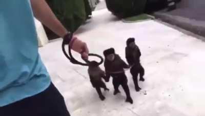 Arranca, Interneto yoooooooooo