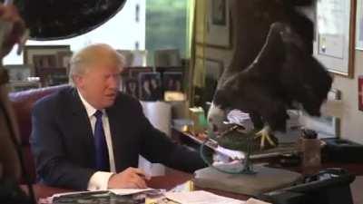 Trump regrets getting near the eagle