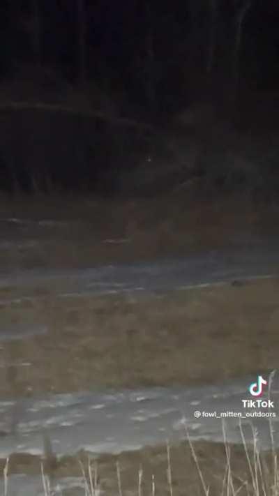 The CIA keeps sending skinwalkers to me since i went off grid