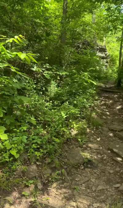 i love knowing anyone could catch me like this