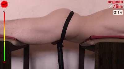 Multiple orgasms Milking device + Prostate massager