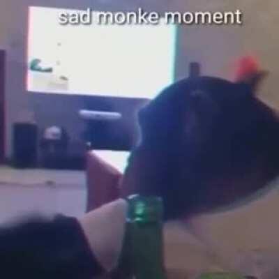His grandmonkey just died dont hit him up