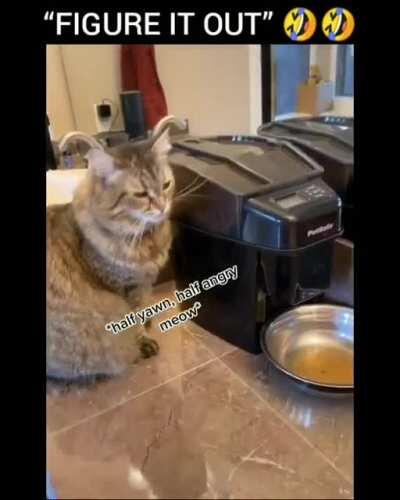 Hooman... Tell the Machine to drop every single piece of my food... Damn it Or I'll attack you...