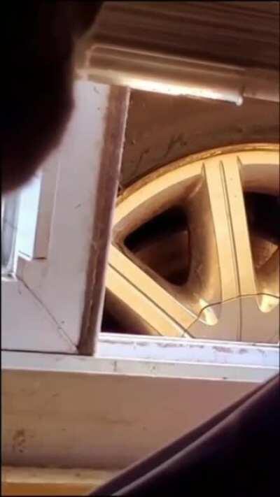 *emerges aggressively*