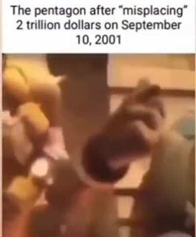 2977 cases of lost life