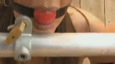 Taze süt geldi buyrrrrrrrun geliinn P.Arşiv-3