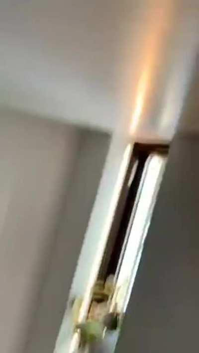 She's almost there but she has felt in to bath instead