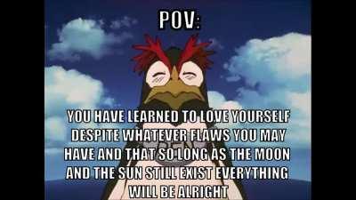 SLEF ACCEPTANCE CONGIFRMED?!??!?!!1111