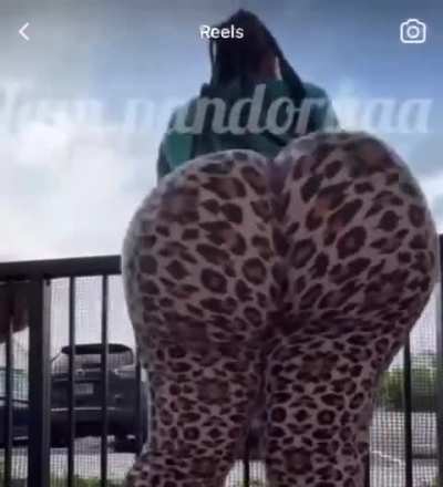 One of the biggest BBL bandits on earth