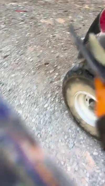 So I found a case of Coors light by the garbage can at work