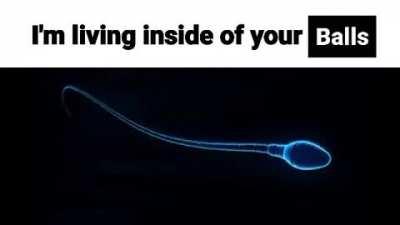 ⚠️scary fact alert !!1!⚠️