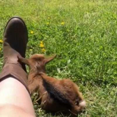 I shall be with you!