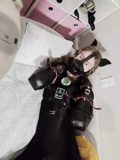 It's time for puppy to take a nap