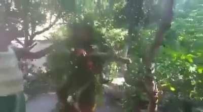 Deputado federal mais votado na Bahia se camufla com folhas para perseguir Lázaro Barbosa