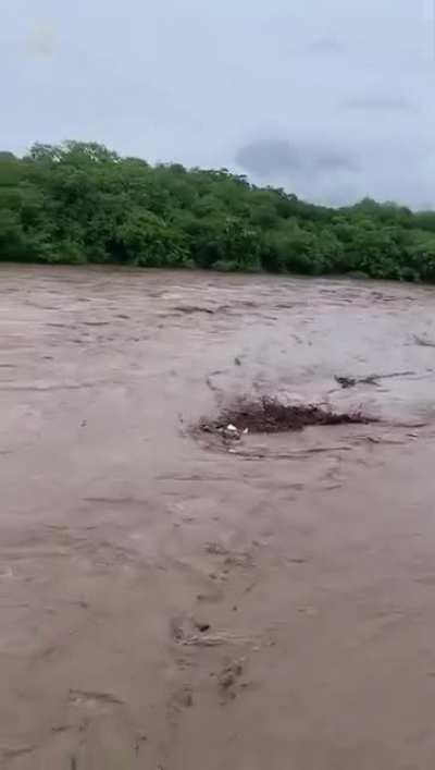 Humor negro con las aguas