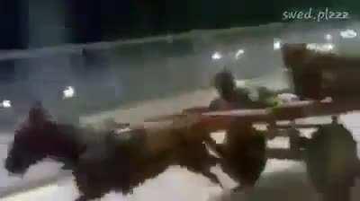 High Horse| Legendary Mount: +1000 speed, +100 defense, Tramples enemies for 800 dmg, Can be used as a mode of quick travel.