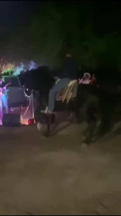 Dancing horse doesn’t like the music