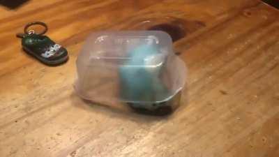 The robbery plan is as reliable as a Swiss watch.