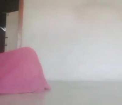 The Blanket of horrors, cat obtainer and collector.