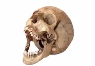 Me when r/doodoofart today