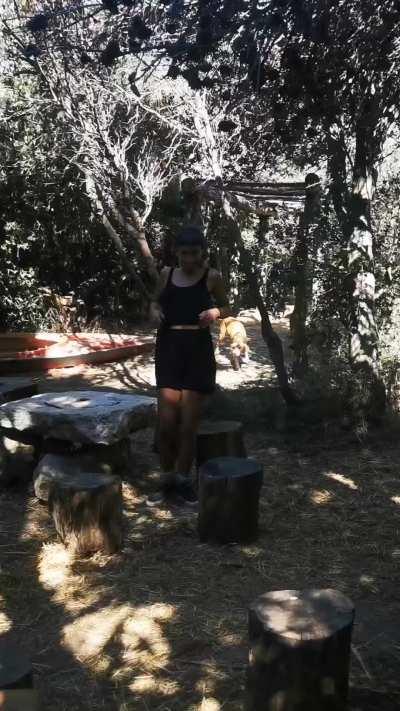 No one wanted to sit on this side of the beach bar, I bet they would change their mind if they knew 😅 [gif]